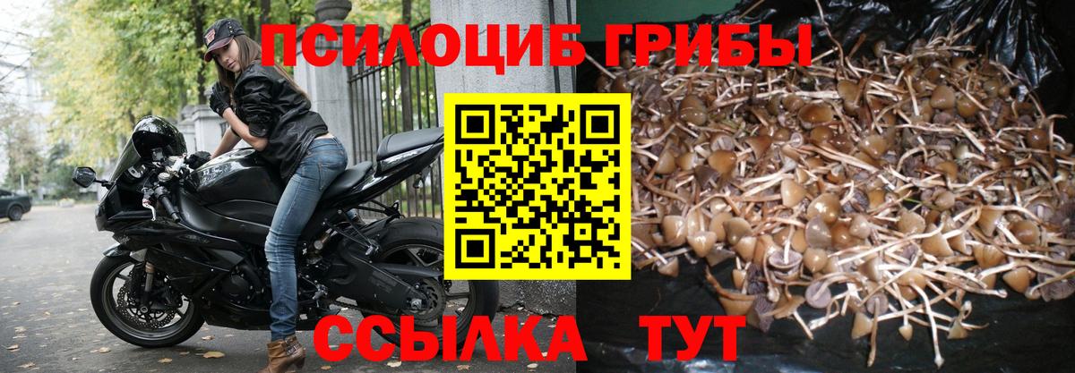 Псилоцибиновые грибы прущие грибы  Вход с VPN  Галлюциногенные грибы MAGIC MUSHROOMS  продажа наркотиков  Унеча 